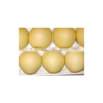 Golden Pear photo-2