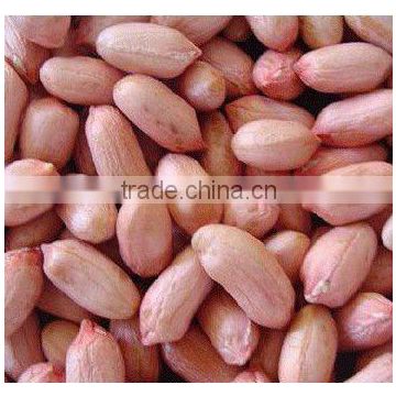 Shandong China peanut