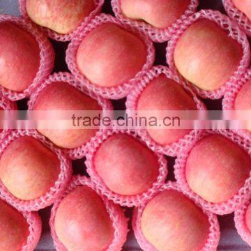 2015 new season corp fresh fruit fuji apple wholesale for exporting