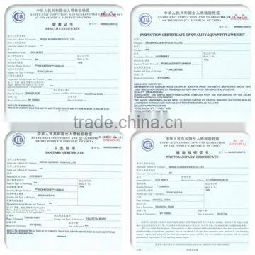 Chinese Walnut Kernel for Hot Sale and With Good Quality and Free Sample for You photo-6