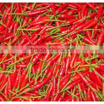 Fresh Chili