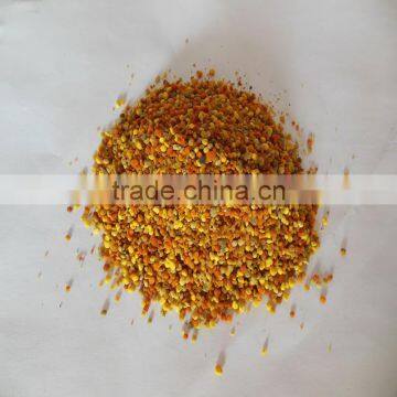 23% protein content fresh color mix mutil-flower bee pollen