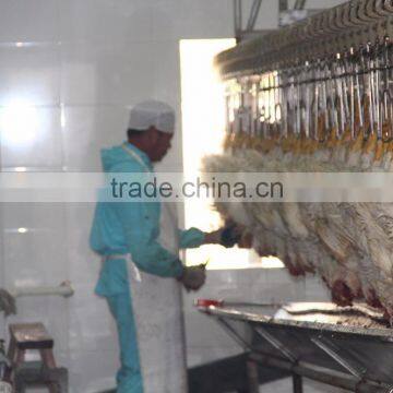 Broiler Chicken Slaughter---1000 Chickens per Hour Meat Processing Plant 008618052092685 photo-5