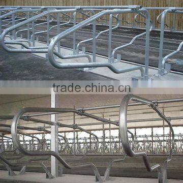 Farm Livestock Equipment for Cow Loops Cow Cubicle photo-2