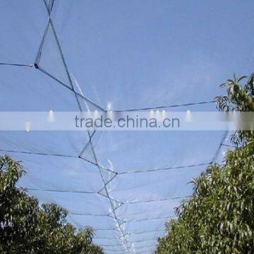 protection net hail proof anti hail net for fruit tree