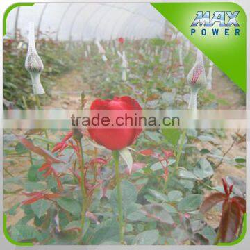 Flower Garden Greenhouse Irrigation Series photo-5