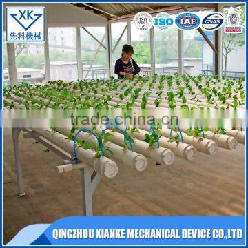 Reasonable Designed Glass/ PC/ Film Greenhouse With Hydroponic System photo-3