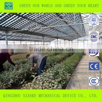 Multi-Span Commercial Agricultural Greenhouse Sales photo-2