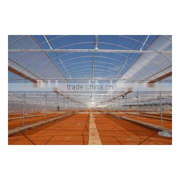 Single-Span Agricultural Planting Plastic Greenhouse photo-5