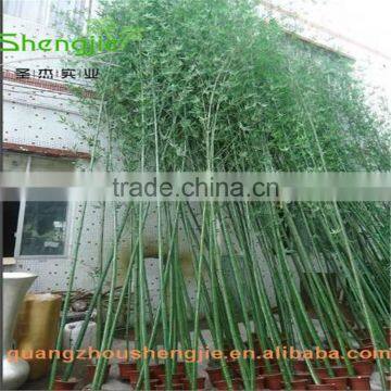 SJLJ013369 artificial bamboo plant / fake plastic bamboo stick / artificial plant for garden fence decoration