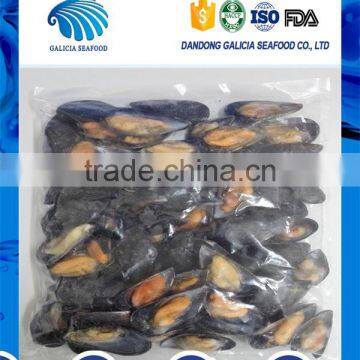 hot selling frozen half shell mussel in bag bulk