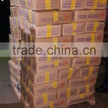 Wholesale Frozen Seafood Frozen Bonito photo-2