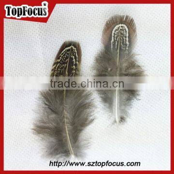 Lower Price Natural Synthetic Pheasant Feathers for Carnival Costumes