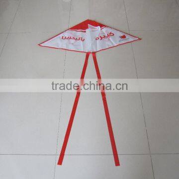 Promotional delta kite