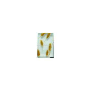 Laminated glass
