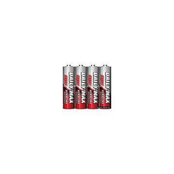 AA Alkaline Batteries(LR6)