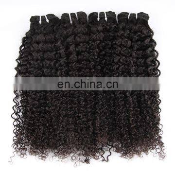 Top Sell Full Cuticle No Shedding Brazilian Kinky Curl Human Hair Extension For Black Women photo-2