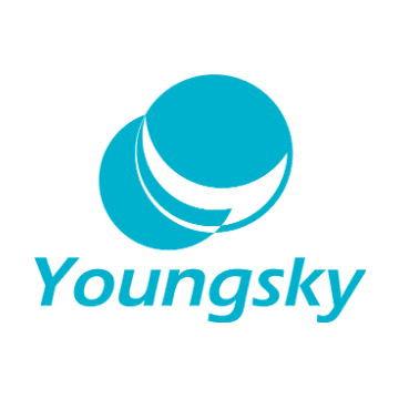 Hangzhou Youngsky Technology Co., Ltd.