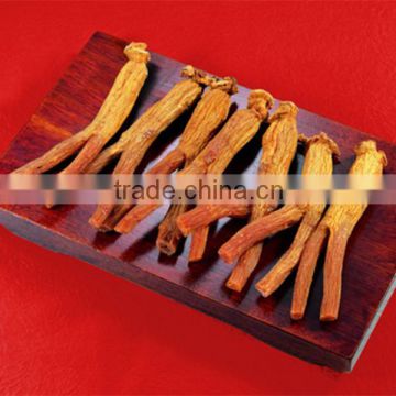 Wholesale Korean Honey Red Ginseng in Best Price