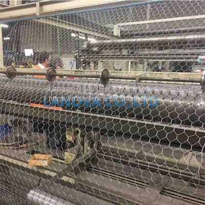 Hexagonal Wire Netting