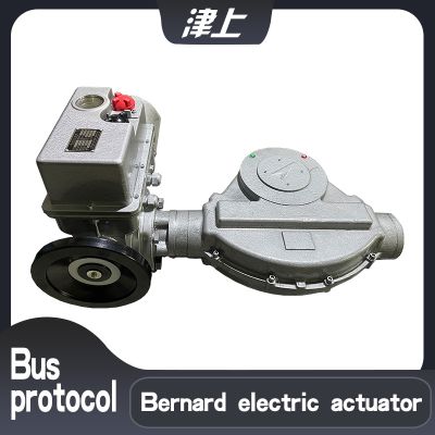 Adjustable electric actuator B+RS1200/K105Z network connection bus protocol