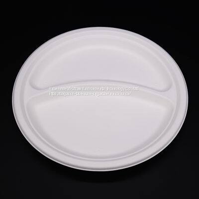 Disposable Biodegradable 9INCH 2C PLATE Take Away Sugarcane photo-2