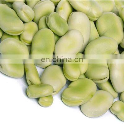 Sinocharm Frozen Vegetable Fresh and Insect Free Certified China Frozen Broad Bean photo-3