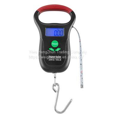 Electronic Hanging Scale