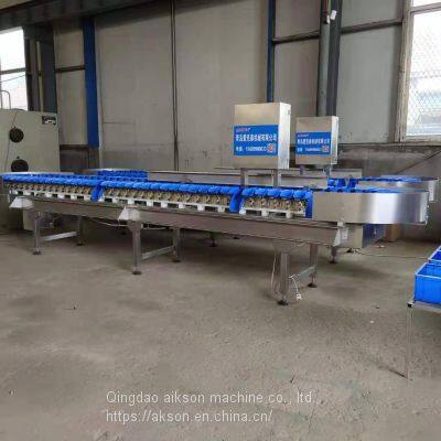 Fruit weight sorting machine