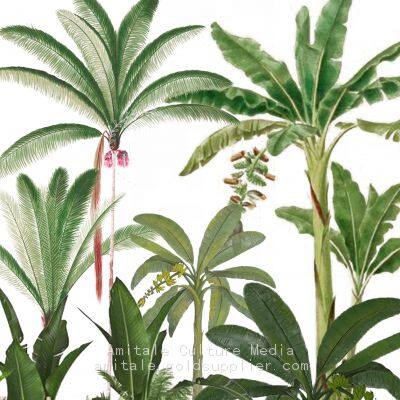 Textile Pattern Design photo-3