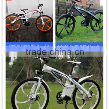 FJ-TDE01 Mountain Electric Bike, Colored Mountain Bike Rims photo-5