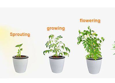 10W 5 Levels Light Gooseneck Led Grow Light Full Spectrum Clip Desk Lamp for Potted Plant Office Family Plant