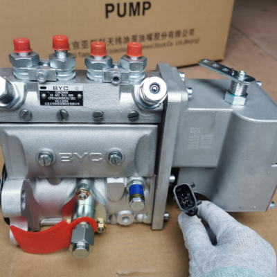 High Pressure Oil Pump/diesel Pump /injection Pump 5262669