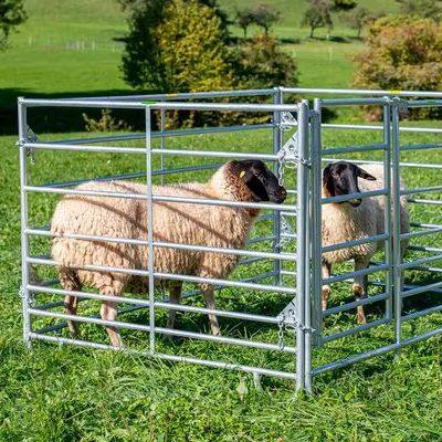 Custom Sheep Panel Australia Galvanized Livestock Sheep Yard Panels and Goat Fence Panel for Sale