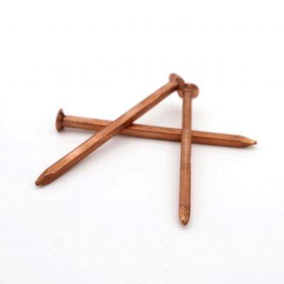 POWER Heavy Duty Boat Nails Q195 Steel | Bulk Supply | Guaranteed Quality photo-5