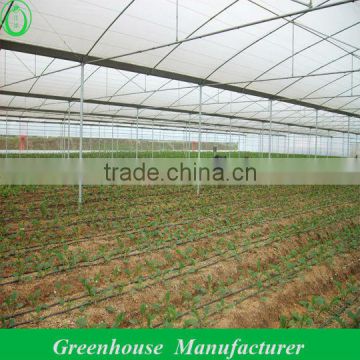 200Micro Agricultural Greenhouses for Tomato