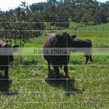 High tensile hot dipped galvanized cattle fence