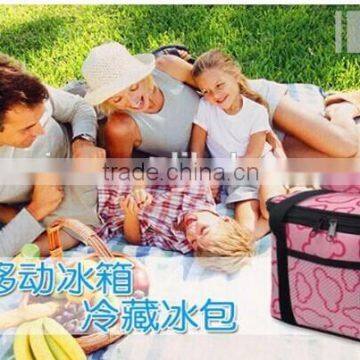 Insulated School Travel Lunch Bag Cooler Box,ice Bag photo-2