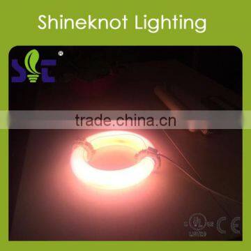China Manufacturer 250w Full Spectrum Grow Lamps LED