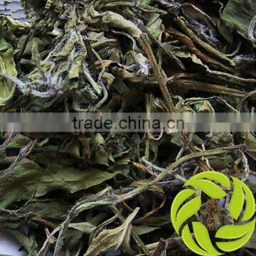 Wholesale fit tea Chinese herb for detox and weight loss dried peppermint leaf herbal tea