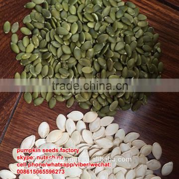 chinese green pumpkin seeds grown without shell (GWS) AAA/ AA / A