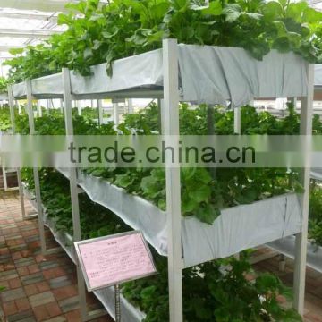 Garden greenhouse three layer Hydroponics for Agricultural