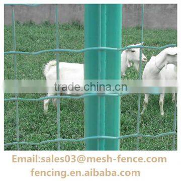 Euro Fence For Commercialo Grounds with Competitive Price with lowest price