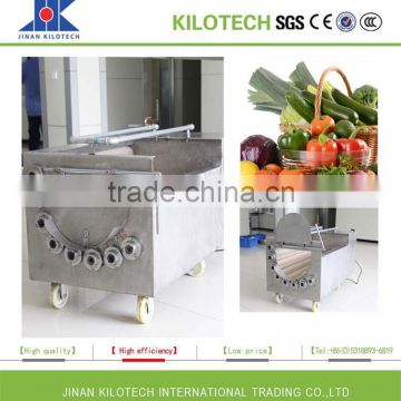 Double Bearings Industrial Commercail Fruit Vegetable Washing Machine For Sale                        
                                                Quality Choice