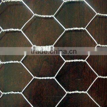 Electro Galvanized Hex Wire Netting