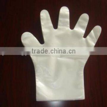 Disposable PE Gloves for Food Service