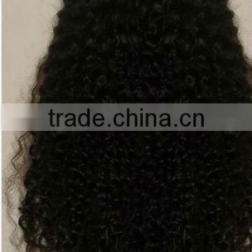 100% Human Hair Wig Brazilian Hair Wig Full Lace Wig For Black Women