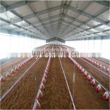 poultry farm automatic equipment for broiler feeding on ground