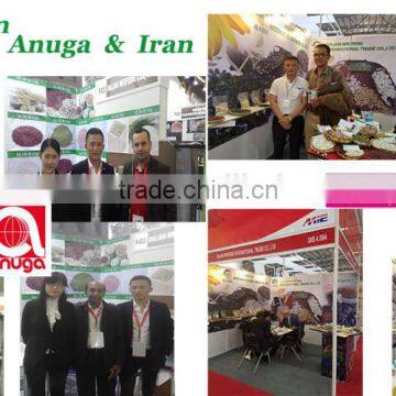 Raw Sunflower Seeds 0409 Stye photo-6