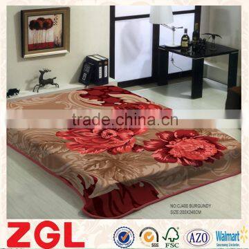 2015 NEW DESIGNS 1ply&2ply high quality hot printed raschel korean style blanket NO.CJ400